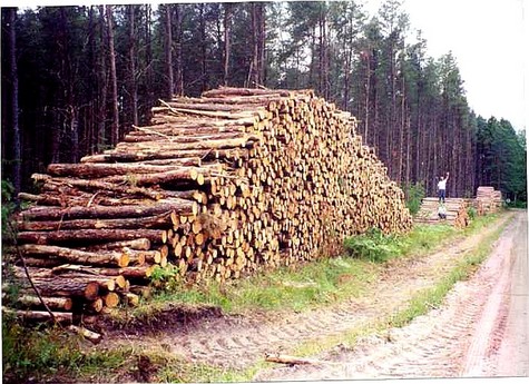 Logging